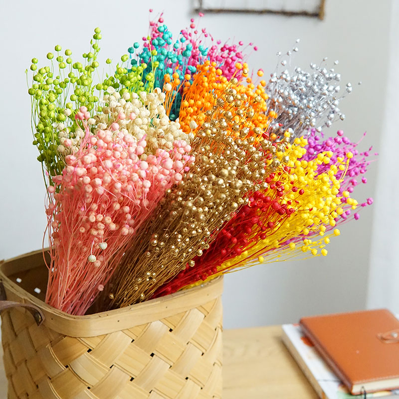 ดอกออร์โมเซีย โฮเซีย แห้ง 35 ก - Dried Flower Pressed บทวิจารณ์และราคา