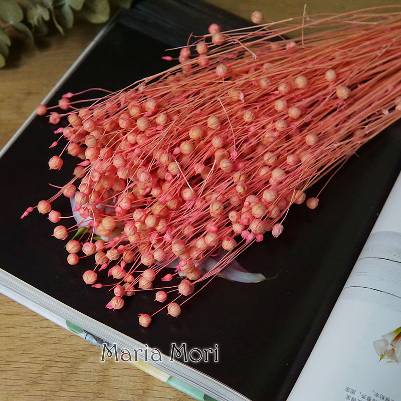 ดอกออร์โมเซีย โฮเซีย แห้ง 35 ก - Dried Flower Pressed บทวิจารณ์และราคา