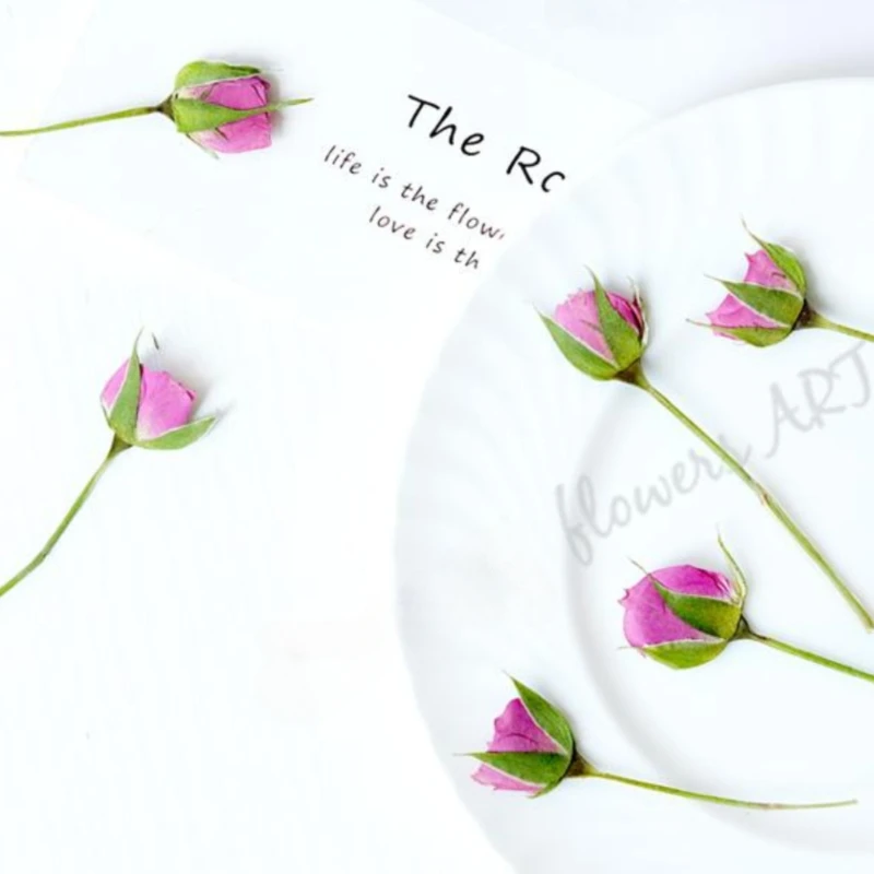 กลีบดอกกุหลาบอัดแห้ง DIY กรอบร - Dried Flower Pressed บทวิจารณ์และราคา