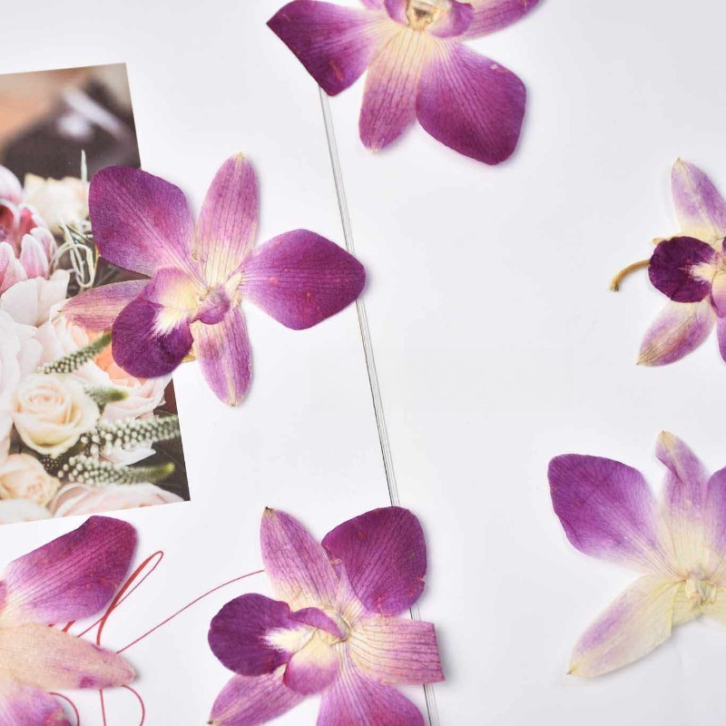 4 ชิ้น, ดอกกล้วยไม้ผีเสื้อแท้แ - Resin Art Photo Frame บทวิจารณ์และราคา