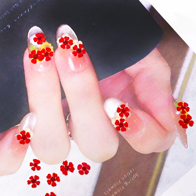 ดอกไม้แห้งอัดเม็ดขนาดเล็ก 1.5  - Resin Art Photo Frame บทวิจารณ์และราคา