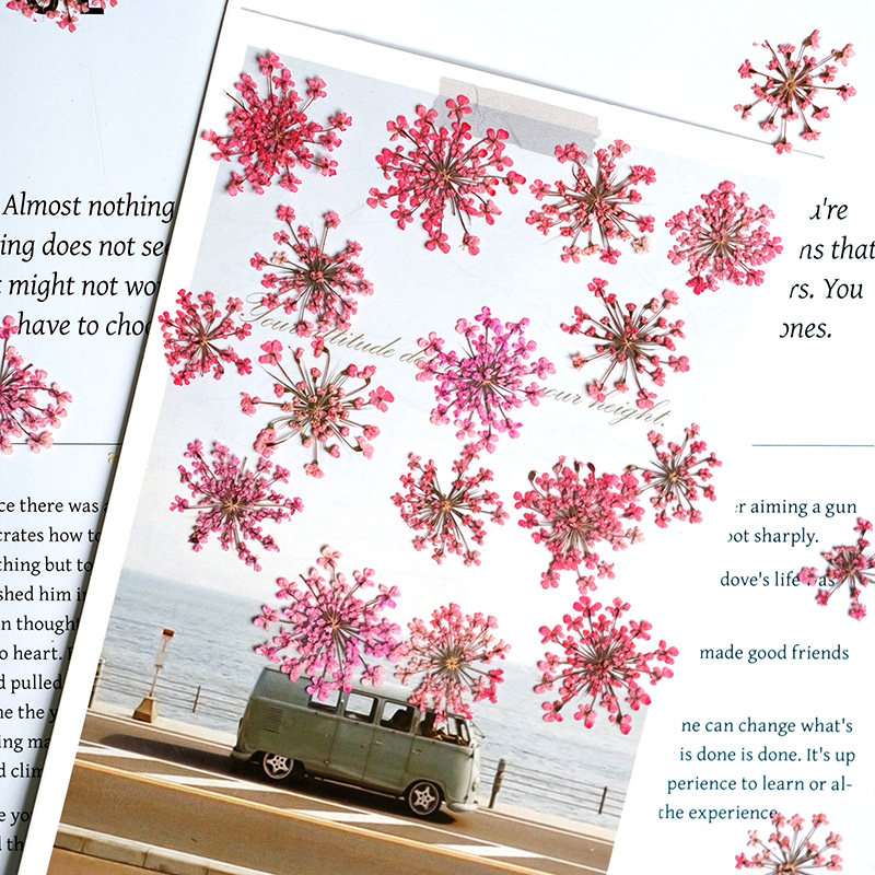 24 ชิ้น, ขนาด 2-2.5 ซม., ดอกไม - Resin Art Photo Frame บทวิจารณ์และราคา