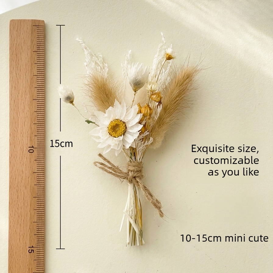 ช่อดอกไม้แห้งขนาดเล็ก ธรรมชาติ - Dried Flower Pressed บทวิจารณ์และราคา