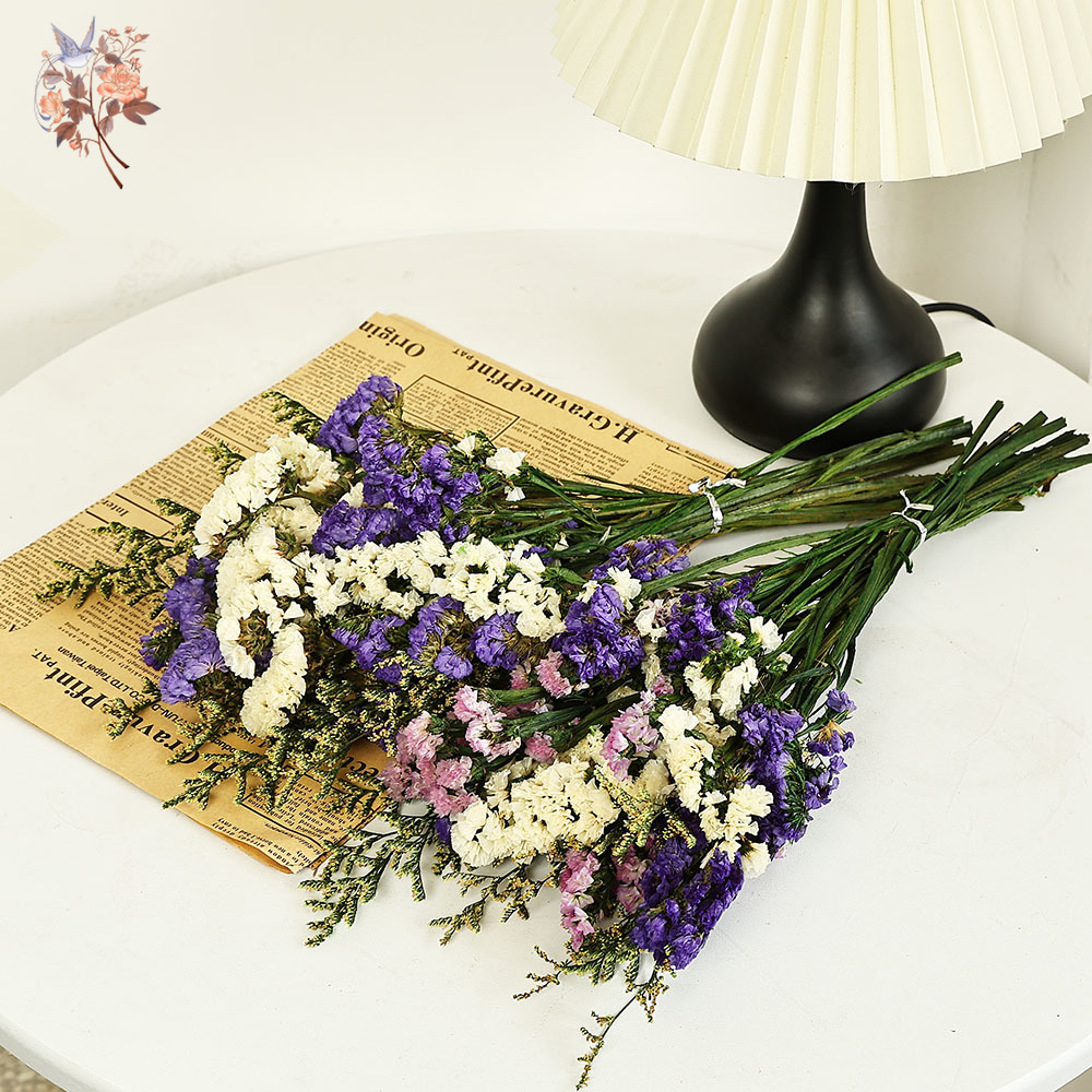 100g ธรรมชาติจริงลืม-me-not ดอ - Dried Flower Pressed บทวิจารณ์และราคา
