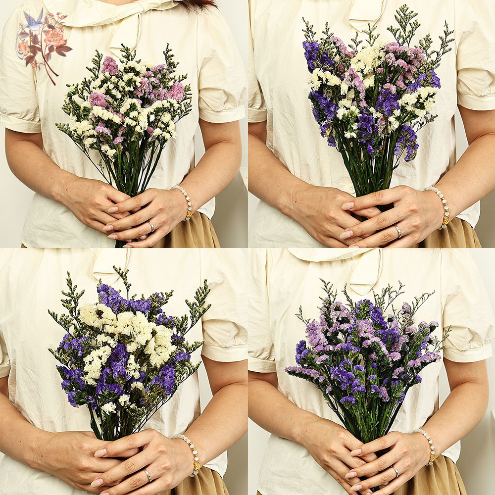 100g ธรรมชาติจริงลืม-me-not ดอ - Dried Flower Pressed บทวิจารณ์และราคา