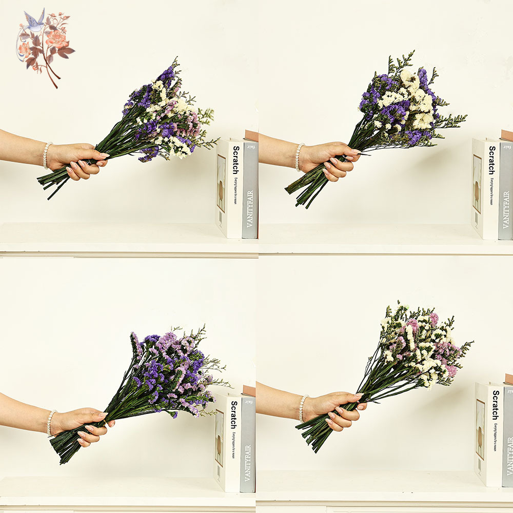 100g ธรรมชาติจริงลืม-me-not ดอ - Dried Flower Pressed บทวิจารณ์และราคา